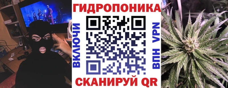 Бошки марихуана Ganja  как найти закладки  Кимовск 